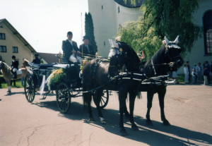 Platzhalterbild